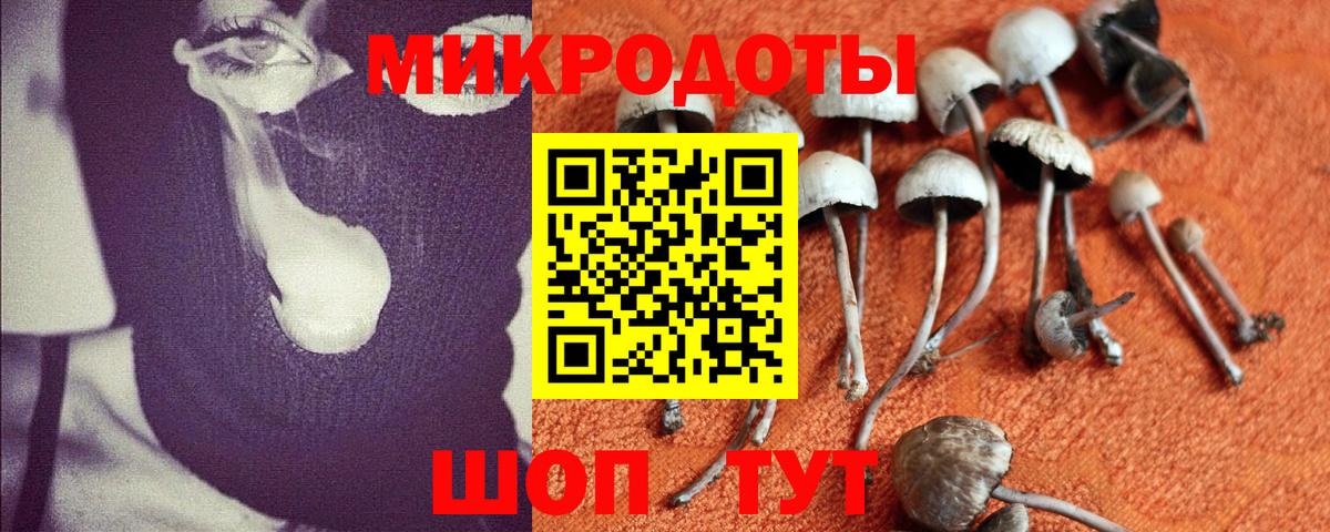 Кисловодск  Псилоцибиновые грибы мухоморы  Вход с VPN 