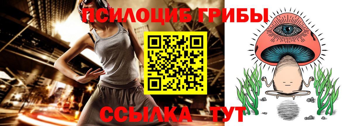 Псилоцибиновые грибы мицелий Кисловодск